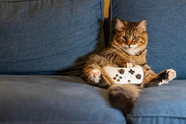 Cómo elegir el mejor accesorio gaming para mejorar tu experiencia